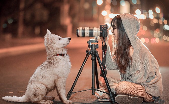 Mulher fotografando um cachorro